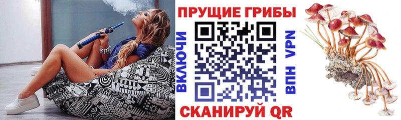 hydra вход  где продают   Керчь  Псилоцибиновые грибы мухоморы 